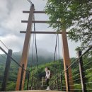 [제주-한라산] 제주도 한라산 백록담 관음사 코스 후기