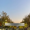 연세대학교 투어 학생회관 밥집 가격 후기 내돈내산