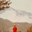 - 46년전 이맘때쯤인 1980년 8월초, 설악산(1,708m) 하계 훈련등반과 당시의 등반그림들 몇 컷!/1980년 8월 산행계획표. 이미지