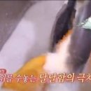 진우전지