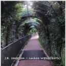 J.E. Jonasson - Cuckoo Waltz(피아노)mp3 이미지