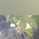 법왕사 앞 이미지