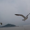 외포호 Daum카페