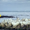 함덕등대 이미지