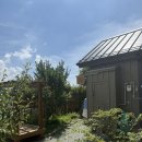 한지그림 | [태안 민화] 도토리그림방 : 내 마음이 쉬어가는 곳...만난 ‘나’의 시간 🎨🌿3개월 내돈내산 솔직 수강후기