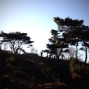 전주이씨 선성군파 명산종중묘역 이미지