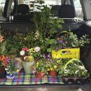 달뜨는바다 이미지