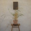 맥도날드울산삼산DT점 이미지