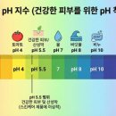 몽글솝