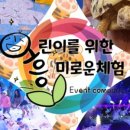 호수초병설유치원 이미지