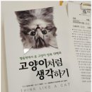 멜로우캣살롱 이미지