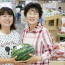 도담주식회사 이미지