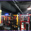 머슬핏 피트니스 이미지