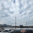 싼타PC | [브런치맛집] 레이크스토리_크리스마스트리랑 찰칵!