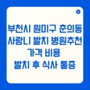 원미식품 | 부천시 원미구 춘의동 사랑니 발치 병원추천 가격비용 발치후식사 통증