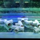 단짠아쿠아 평화점 이미지