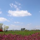 강나루생태공원 이미지