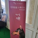 귀인당구장 | 애견 동반 숙소 홍천 소노펫 2일차 여행,조식,푸드코트,곤돌라,볼링장/메뉴판(+내돈내산)