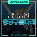 산의천 | 천 원짜리 가성비 부산 여행 &#39;송도 용궁 구름다리&#39; 스카이워크 후기