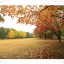 가평교통 주식회사 이미지