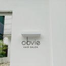 오브비(obvie) 이미지
