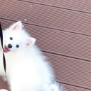 산밑집 농장 이미지