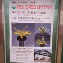 한국춘란 전시회 이미지