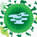 경매기초 이미지