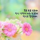 세상을 바꾸는 법 이미지