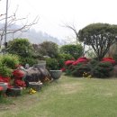 국제농장 이미지