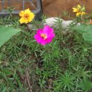 은비네농장 이미지