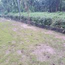 양호파크골프장 이미지