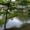 전나무목장 이미지