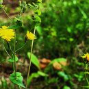 기내미재 이미지