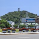 팽나무세탁소 네이버블로그