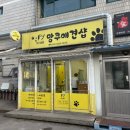 망쿠애견샵 이미지