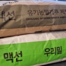 팡페이장제과점