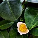 덕촌2천 이미지