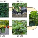 라온팜 이미지