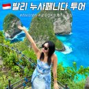 발리 누사페니다 섬 투어 사누르항구 당일치기 여행코스 스노쿨링