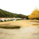 나무와중학교 이미지