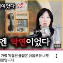 짚신은 짝이 없다. 이미지