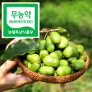 다래팜 네이버블로그
