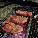 여울지숲속캠핑장c3와 몰티하우스맥스, 고동텐트 첫피칭 후기(2)