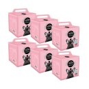 펫더데이 이미지