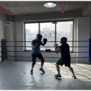 동탄센트럴복싱짐 이미지