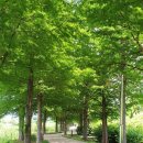산곡천변 이미지