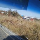 때밭
