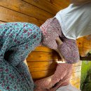 산골초가펜션 이미지