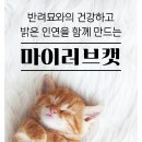 수지헤어나라 이미지
